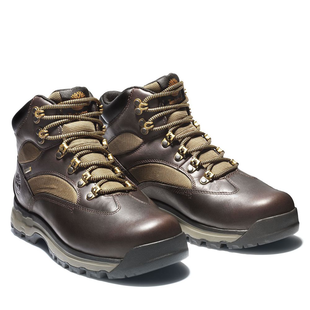 Bocanci De Drumeție Timberland Barbati Maro Inchis - Chocorua Trail 2.0 Waterproof - Romania - CLHFW